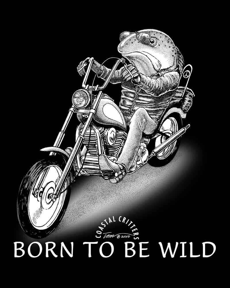 Caption: Born to be Wild. Salmon on a chopper motorcycle