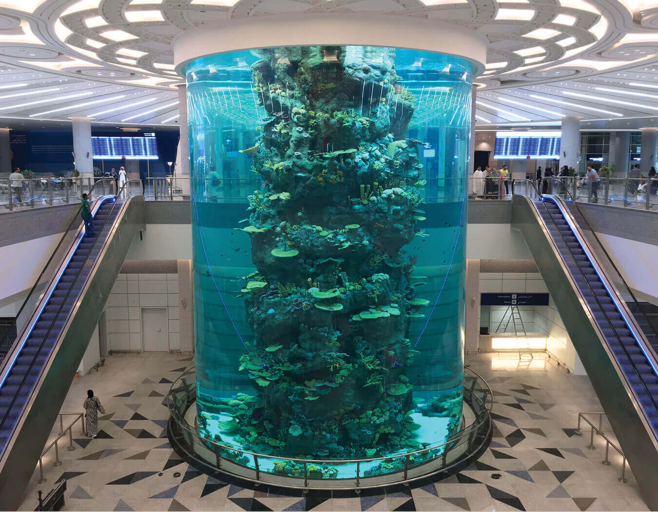 Photograph of the completed cylindrical aquarium inside the King Abdullah airport